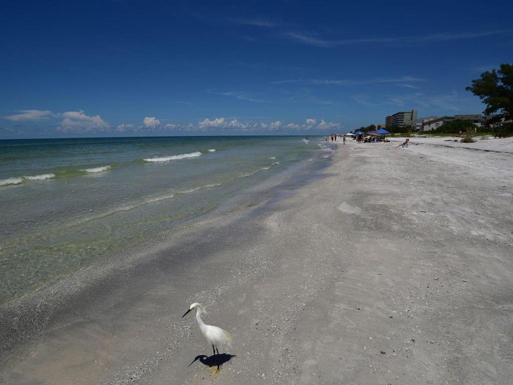 Gulf Retreat 2: Magnificent Water Views, Steps To Beach, None Cleaner, None Nicer! Clearwater Beach Eksteriør billede